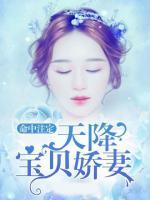 命中注定：天降寶貝嬌妻