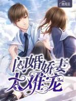 閃婚嬌妻太難寵