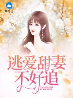 逃愛甜妻不好追