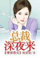 一夜纏情：總裁夜歡寵