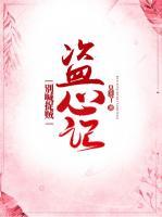 盜心記：別喊捉賊