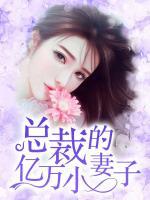 總裁的億萬小妻子