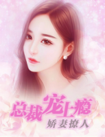 嬌妻撩人：總裁寵上癮