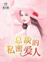 總裁的私密愛人