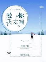 愛你我太痛