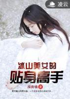 冰山美女的貼身高手