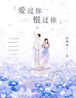 愛過你，恨過你