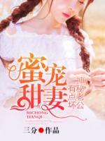 蜜寵甜妻：神秘老公有點壞