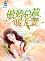 傲嬌總裁暖寵妻