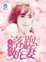 全城通緝：落跑嬌妻