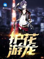護(hù)花游龍