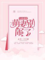 全球通緝：萌妻別鬧了