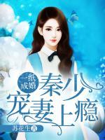 一紙成婚：秦少寵妻上癮