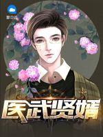 醫(yī)武賢婿