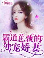 霸道總裁的獨(dú)寵嬌妻