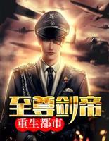 至尊劍帝重生都市