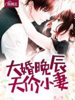 大婚晚辰，天價(jià)小妻子