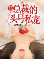 撩妻上癮：總裁的頭號(hào)私寵
