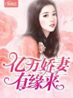億萬嬌妻有緣來