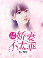 總裁囚愛：嬌妻不太乖