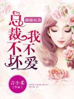 總裁不壞我不愛