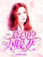 天價盛寵：慕總的小暖妻