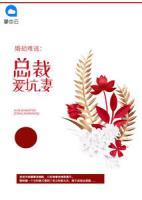 婚劫難逃：總裁愛坑妻