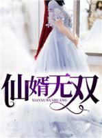 仙婿無雙