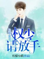 隱婚蜜愛(ài)：權(quán)少，請(qǐng)放手