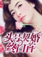 頭號契婚終白首