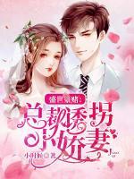 盛世豪賭：總裁誘拐小嬌妻
