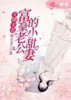 天降夫君，富豪老公的小甜妻