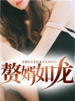 贅婿如龍