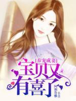 養(yǎng)寵成妻：寶貝，又有喜了