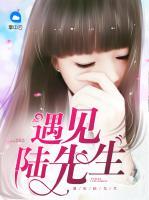 遇見陸先生