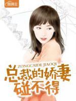 總裁的嬌妻碰不得