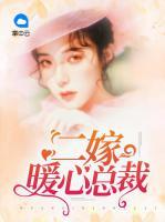 二嫁暖心總裁