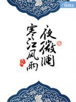寒江風(fēng)雨夜微瀾