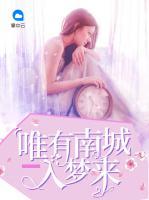 唯有南城入夢來