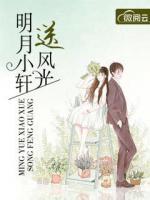 明月小軒送風(fēng)光