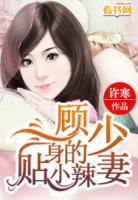 顧少的貼身小辣妻
