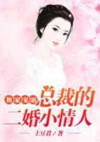獨(dú)家寵溺：總裁的二婚小情人