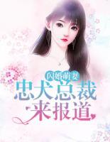 閃婚萌妻：忠犬總裁來報(bào)道