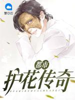 都市護花傳奇