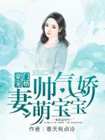 豪門寵婚：帥氣嬌妻萌寶寶