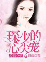 掠情奪愛：琛少的心尖寵