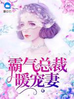霸氣總裁暖寵妻