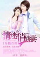 專情首席，情迷俏嬌妻