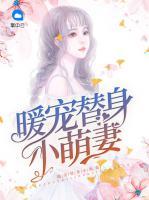 暖寵替身小萌妻