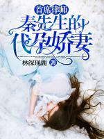 首席律師：秦先生的代孕嬌妻